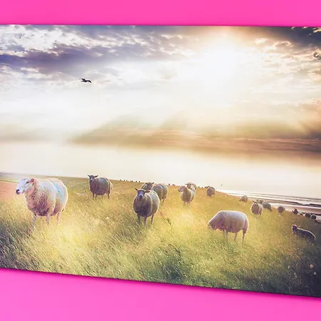 Im Haus Seeperle 아파트 이젠스