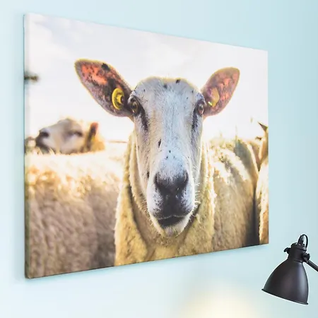 Im Haus Seeperle 아파트